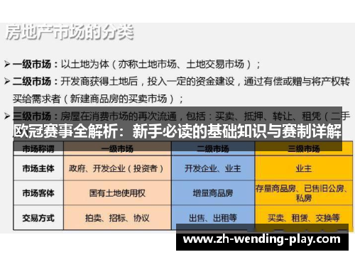 欧冠赛事全解析：新手必读的基础知识与赛制详解